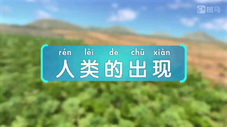 斑马百科 Сезон 23