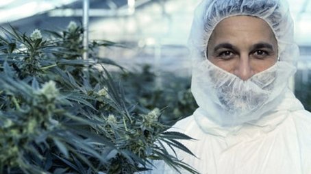 Cannabis: Miracle Medicine or Dangerous Drug? (2019) - Episode 6 poster and promotional image
