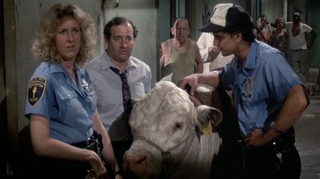 Domestic Beef (1982) - Episode 2 poster and promotional image
