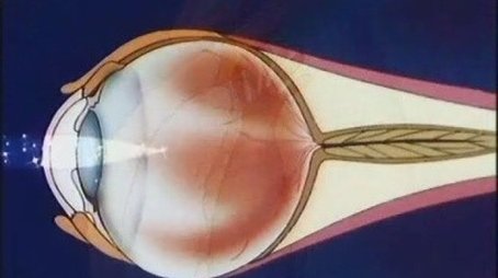 The Eye