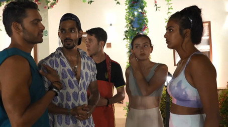 MTV Splitsvilla Сезон 14