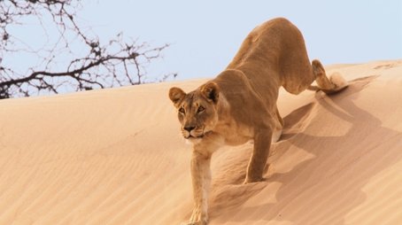 Deserts (2016) - Episode 4 poster and promotional image