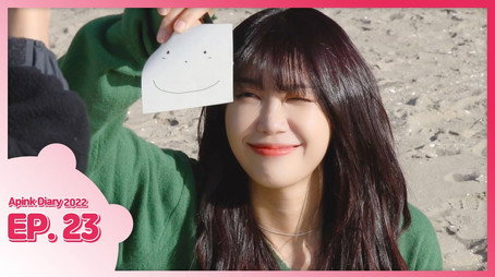 에이핑크 다이어리 Сезон 9