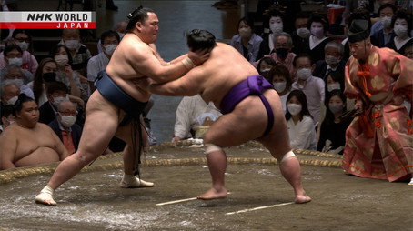 GRAND SUMO Highlights Сезон 11