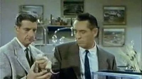 The Human Equation (1955) - Episode 25 poster and promotional image