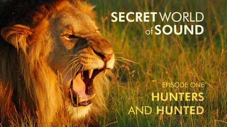 Secret World of Sound: Hunters and Hunted (2024) - Episode 101 poster and promotional image