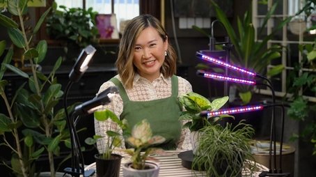 Episode 15 Autumn: Frog ponds and chrysanthemums (2024) - Episode 15 poster and promotional image