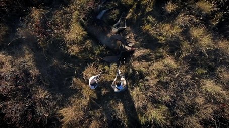 Blood on the Ground (2022) - Episode 1 poster and promotional image