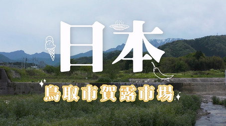 730 玩返轉 Сезон 1