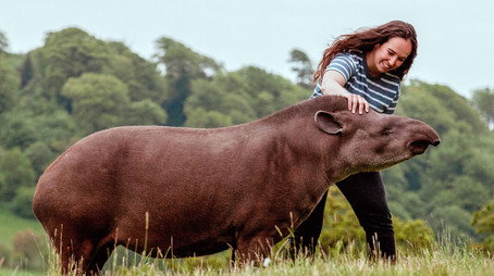 Animal Park Stagione 25