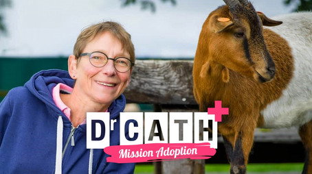 Dr Cath : Mission adoption 시즌 2