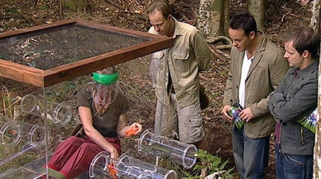 I'm a Celebrity...Get Me Out of Here! Сезон 6