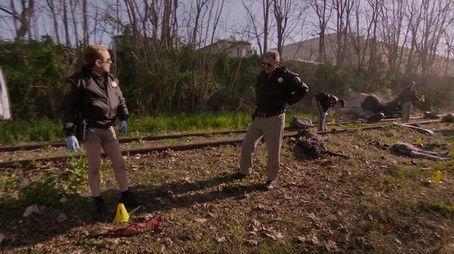 Cats-ident (2020) - Episode 23 poster and promotional image