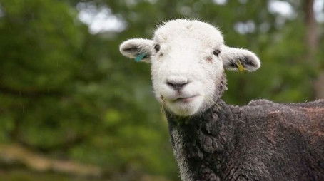 Coniston (2021) - Episode 33 poster and promotional image