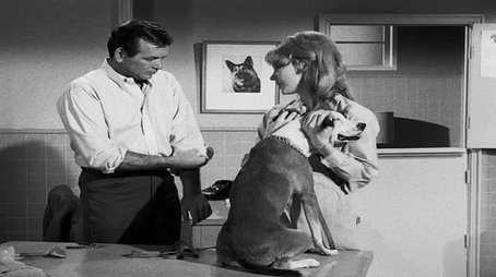 Shadow of the Swan (1966) - Episode 21 poster and promotional image