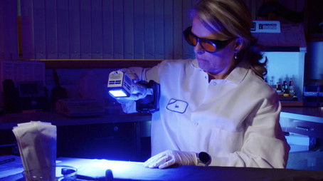 Family Tree (2020) - Episode 9 poster and promotional image