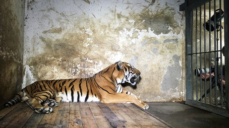 Rare: Creatures of the Photo Ark Stagione 1