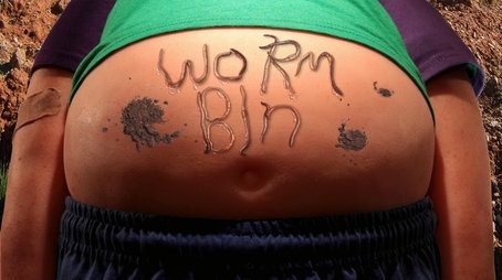 Worm Bin
