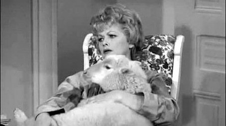 Lucy Buys a Sheep (1962) - Episode 5 poster and promotional image
