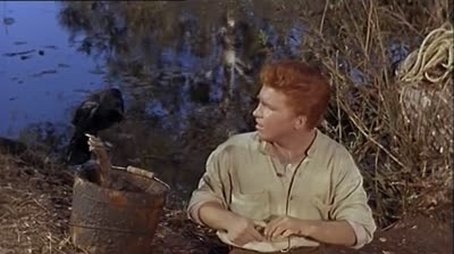 A Natural Wizard (1965) - Episode 13 poster and promotional image