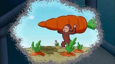 The Perfect Carrot