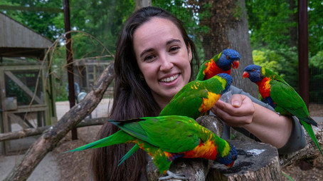 Animal Park Stagione 25