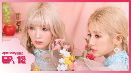 에이핑크 다이어리 Сезон 9