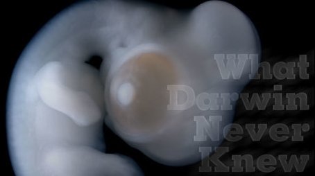 What Darwin Never Knew (2009) - Episode 8 poster and promotional image