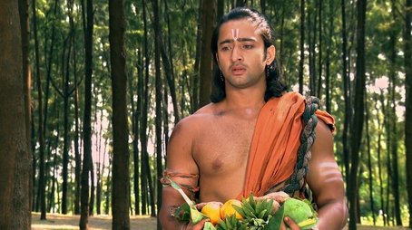 The Pandavas live in the forest (2014) - Episode 1 poster and promotional image