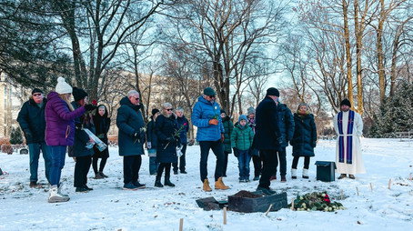 Åsted Norge Сезон 12