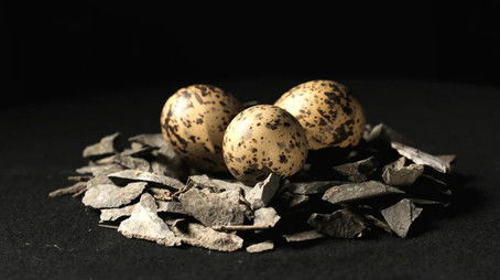 Episode 210 (2016) - Episode 210 poster and promotional image