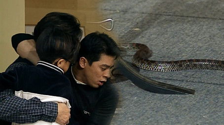 Episode 209 (1999) - Episode 209 poster and promotional image