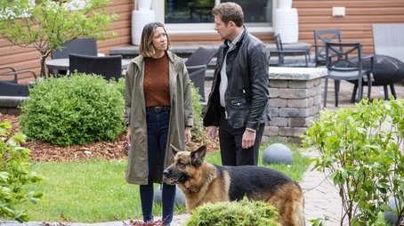 Oops I Bit It Again (2021) - Episode 2 poster and promotional image