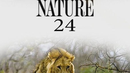 Season 24 (2005) - Season 24 poster and promotional image