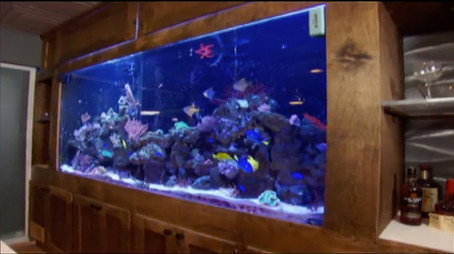 Tanked Sezona 2