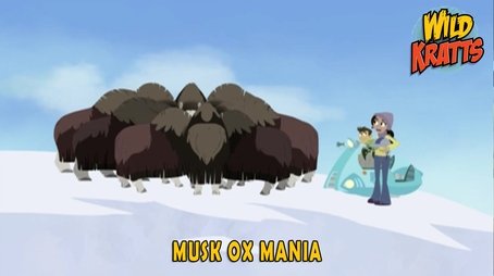 Musk Ox Mania (2017) - Episode 24 poster and promotional image