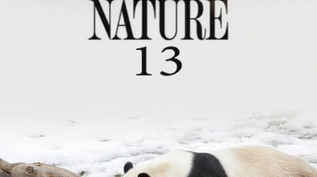 Season 13 (1994) - Season 13 poster and promotional image