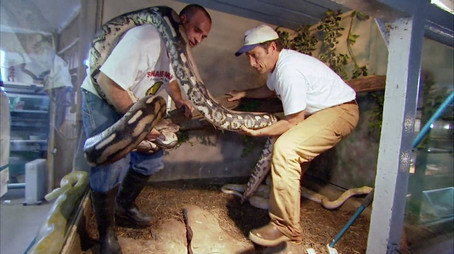 Dirty Jobs Сезон 3