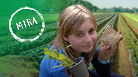 Schau in meine Welt! Сезон 1