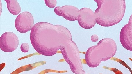 Pussy (2016) poster