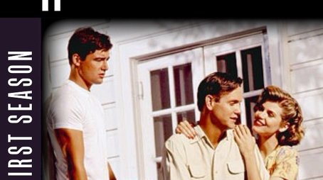 Season 1 (1991) - Season 1 poster and promotional image