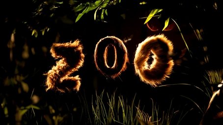 Zoo