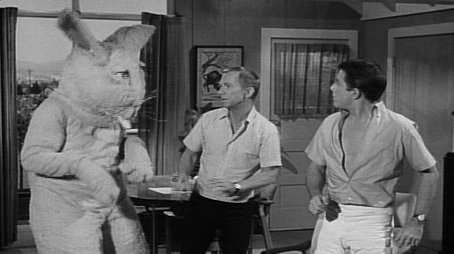 To Make a Rabbit Stew- First Catch a Martian (1964) - Episode 13 poster and promotional image