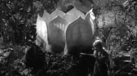 Attack of the Monster Plants (1965) - Episode 14 poster and promotional image