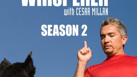 Season 2 (2006) - Season 2 poster and promotional image