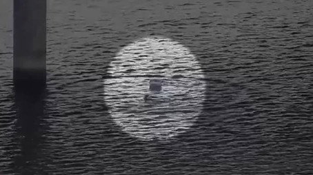 传奇故事 Сезон 13