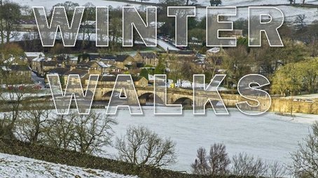Winter Walks (2021) poster