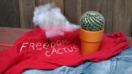 Freedom Cactus