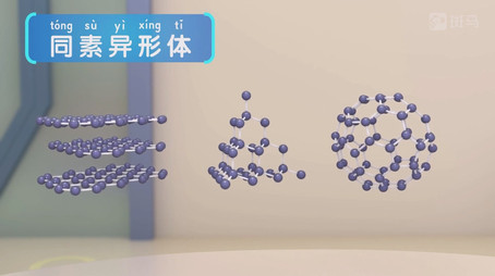 斑马百科 Сезон 18