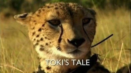 Toki's Tale (2007) - Episode 11 poster and promotional image